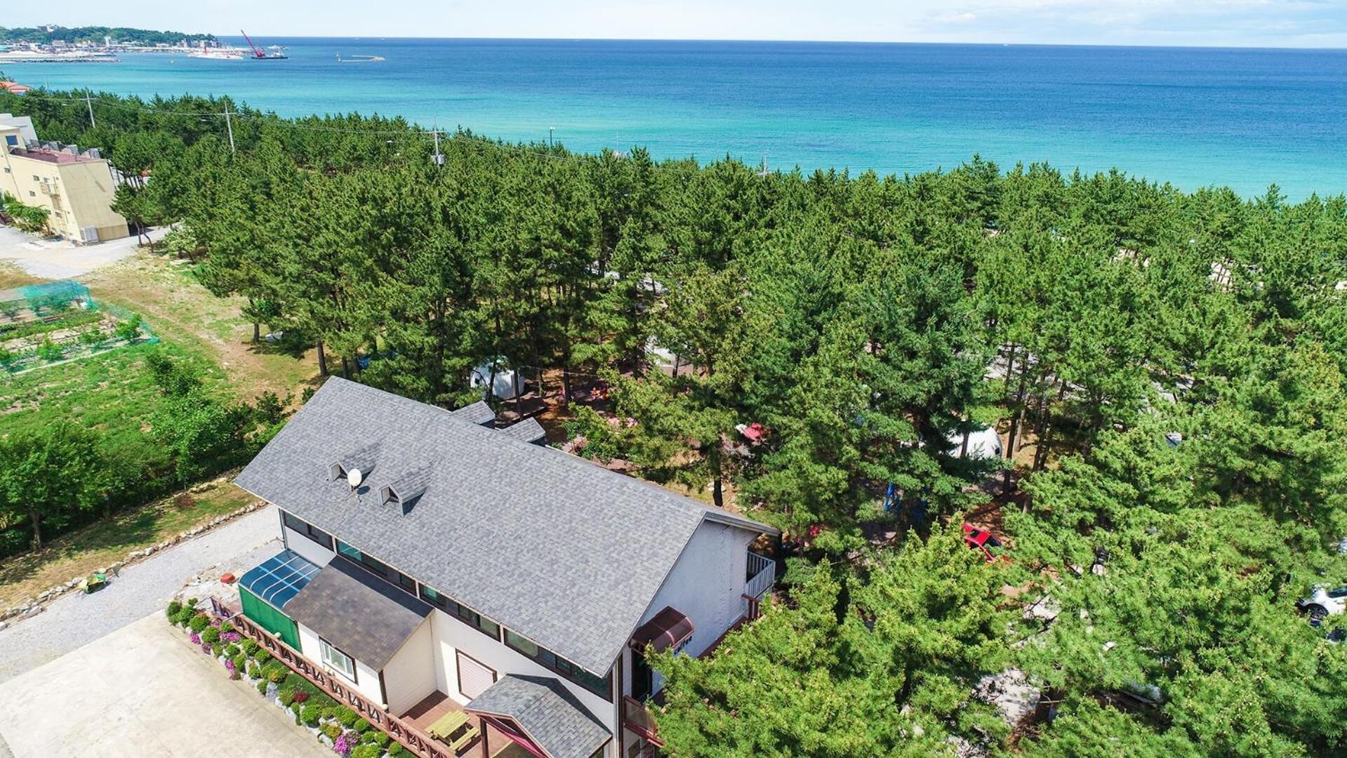 Kangneung Oranda Pension Gangneung Exterior photo