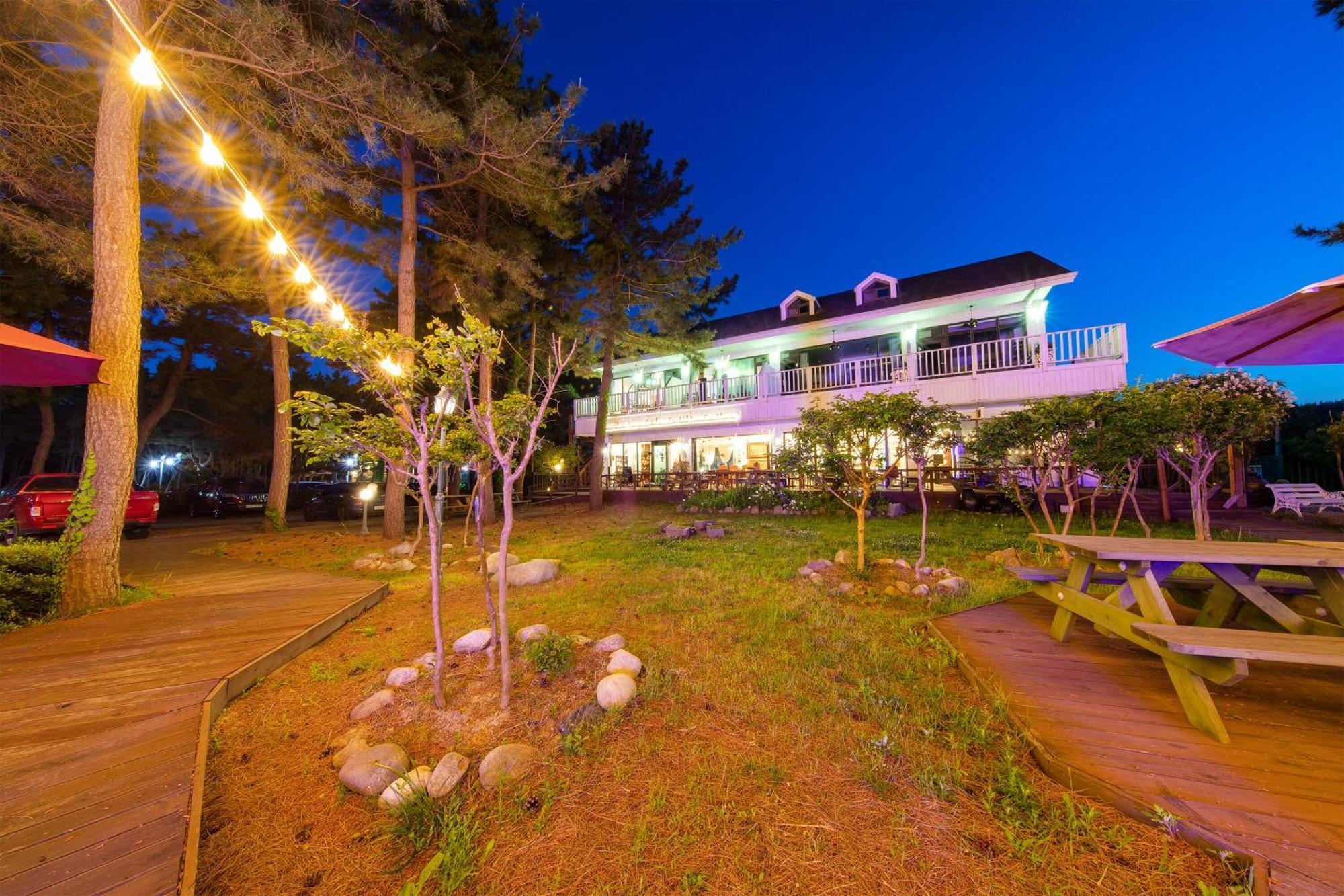 Kangneung Oranda Pension Gangneung Exterior photo